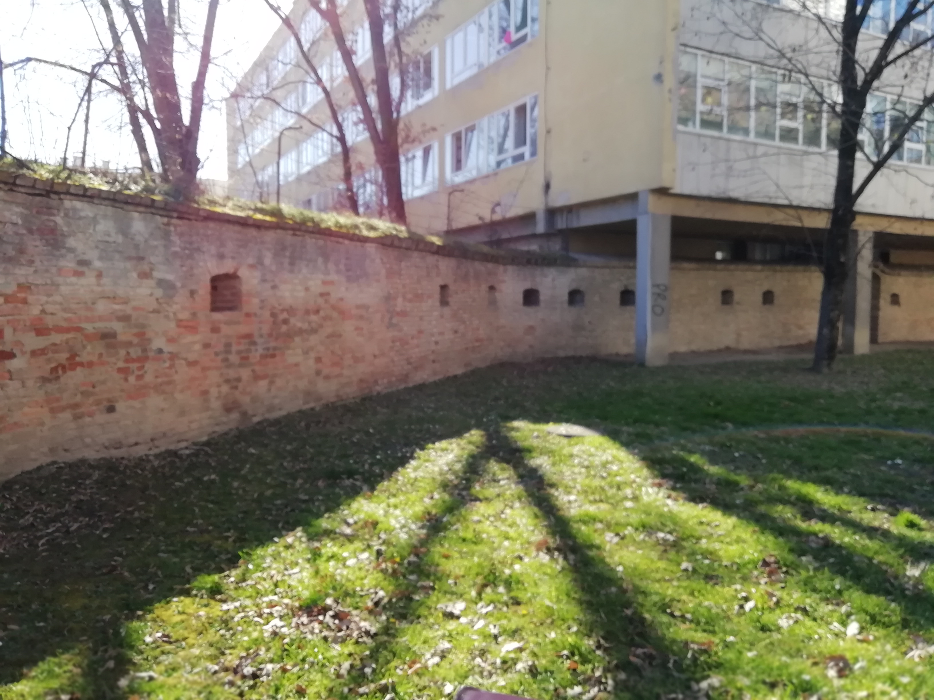 A védfal lőrései a Cseresnyés kollégium környezetében, a jókarbantartás előtt